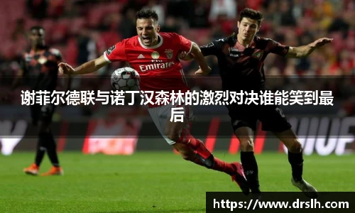 谢菲尔德联与诺丁汉森林的激烈对决谁能笑到最后